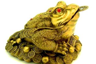 cash magia toad